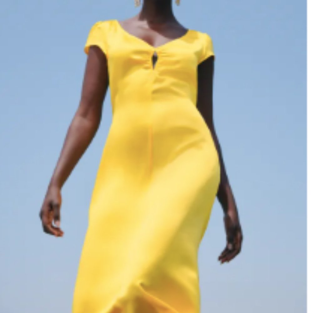 Reformation Scottie Silk Dress
